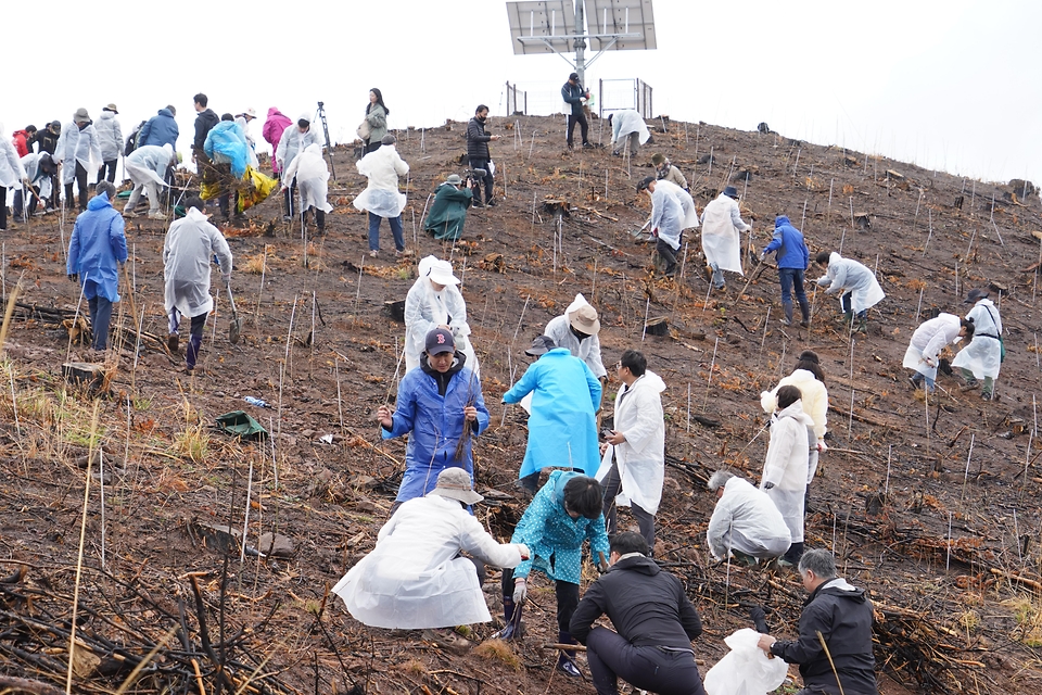 2026년 4월 4일 경북 안동시 풍천면에서 열린 '산불피해 복원 평화의 숲 나무심기' 행사에서 참가자들이 나무를 심고 있다.