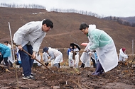 2026년 4월 4일 경북 안동시 풍천면에서 열린 '산불피해 복원 평화의 숲 나무심기' 행사에서 참가자들이 나무를 심고 있다.