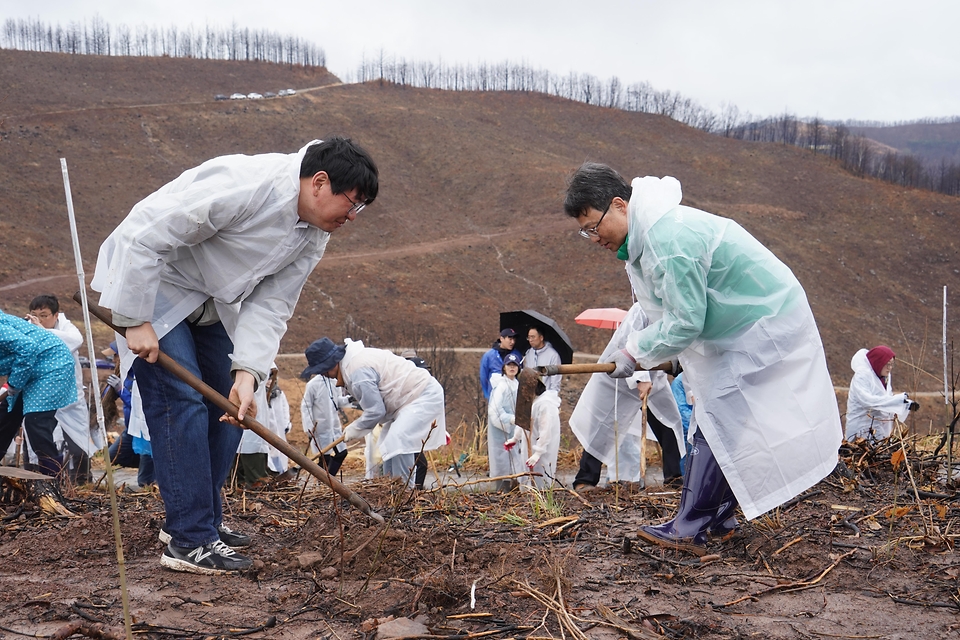 2026년 4월 4일 경북 안동시 풍천면에서 열린 '산불피해 복원 평화의 숲 나무심기' 행사에서 참가자들이 나무를 심고 있다.