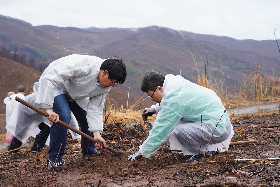 2026년 4월 4일 경북 안동시 풍천면에서 열린 '산불피해 복원 평화의 숲 나무심기' 행사에서 참가자들이 나무를 심고 있다.