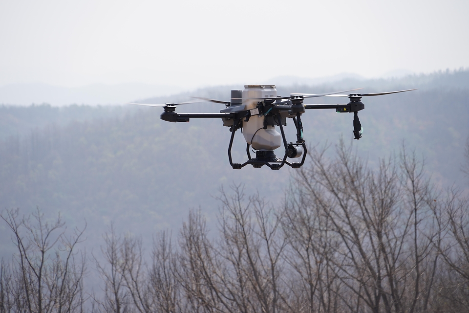 4월 3일 경북 안동시 풍천면에서 열린 '제81회 식목일 나무심기' 행사에서 참가자들이 나무를 심고 있다.