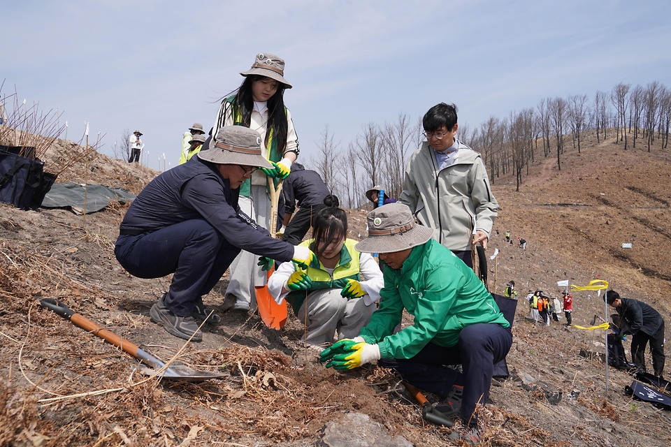 4월 3일 경북 안동시 풍천면에서 열린 '제81회 식목일 나무심기' 행사에서 참가자들이 나무를 심고 있다.
