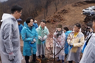 2026년 4월 4일 경북 안동시 풍천면에서 열린 '산불피해 복원 평화의 숲 나무심기' 행사에서 참가자들이 나무를 심고 있다.