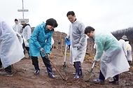 2026년 4월 4일 경북 안동시 풍천면에서 열린 '산불피해 복원 평화의 숲 나무심기' 행사에서 참가자들이 나무를 심고 있다.