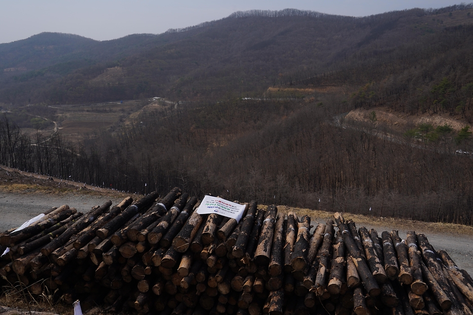 4월 3일 경북 안동시 풍천면에서 열린 '제81회 식목일 나무심기' 행사에서 참가자들이 나무를 심고 있다.