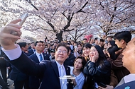 이재명 대통령과 김혜경 여사가 4월 5일 서울 여의도 윤중로에서 벚꽃을 배경으로 시민들과 기념촬영을 하고 있다.