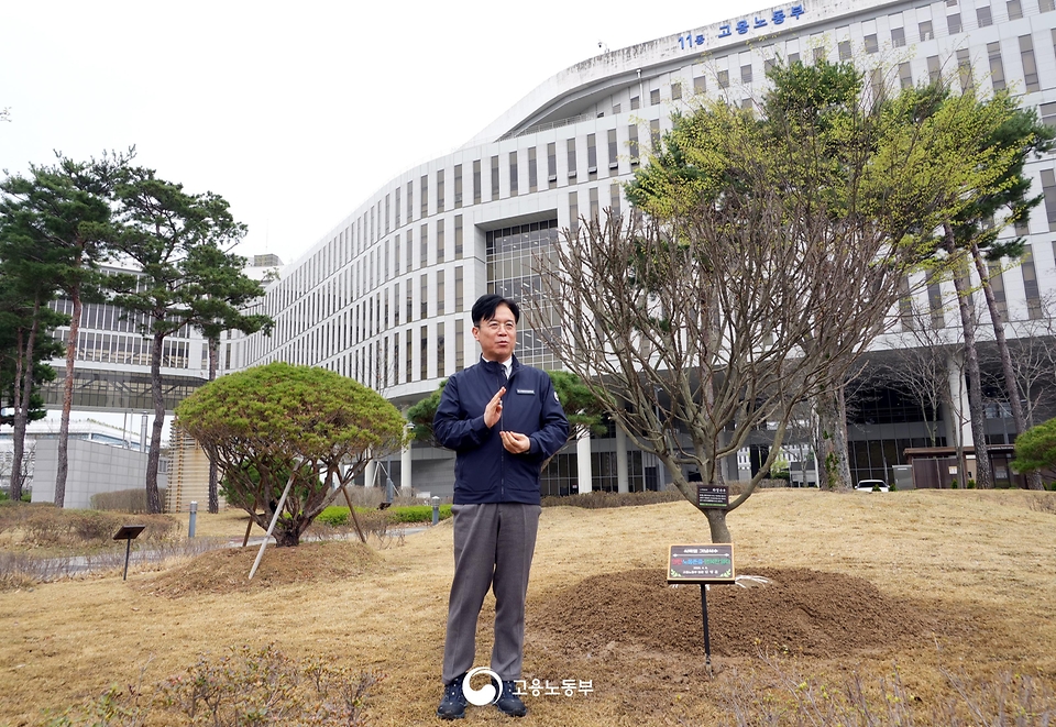 김영훈 고용노동부 장관이 4월 6일 세종시 정부세종청사에서 식목일을 맞아 직원들과 함께 나무를 심고 있다.