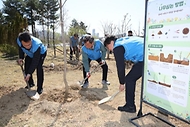 정일연 국민권익위원회 위원장이 4월 8일 세종시 국립세종수목원에서 열린 나무심기 행사에 참석해 직원들과 노각 묘목을 식재하고 있다.