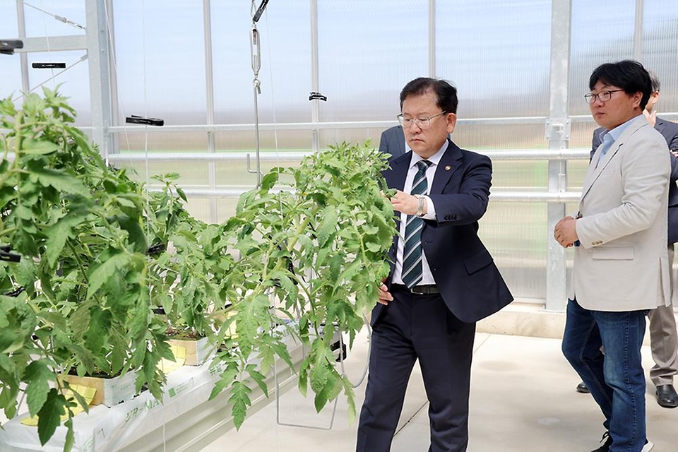 이승돈 농촌진흥청장이 4월 16일 강원도 평창군 한국과학기술연구원(KIST) 강릉분원 '횡계 AI 실증온실'을 방문해 스마트농업 기술 연구·협력 방향을 논의하고 있다.
