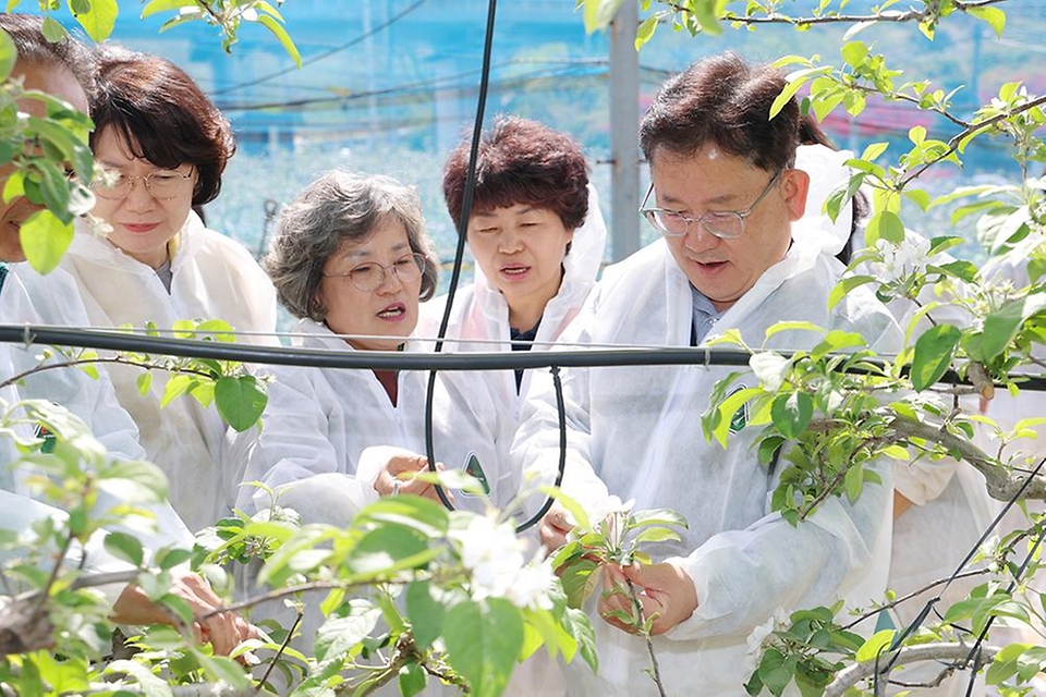 이승돈 농촌진흥청장이 4월 22일 경북 영주시 풍기읍 사과 과수원을 찾아 과수화상병 예방을 위한 개화기 약제 방제 상황을 살피고, 영주시농업기술센터의 과수화상병 예찰·방제 계획을 들은 후 현장 관계자들을 격려하고 있다.