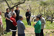 박은식 산림청장이 4월 24일 충주시 중앙탑면 밤 재배임가를 찾아 중동전쟁이 임업현장에 미치는 영향을 점검하고 임산물 판로확대 및 품질관리 방안에 대해 이야기를 나누고 있다.