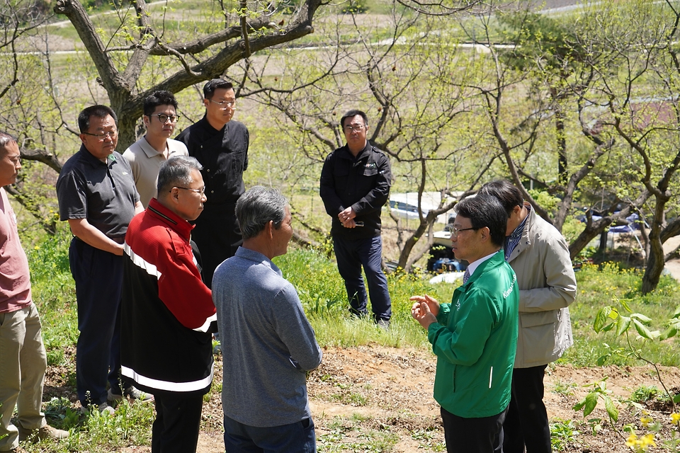 박은식 산림청장이 4월 24일 충주시 중앙탑면 밤 재배임가를 찾아 중동전쟁이 임업현장에 미치는 영향을 점검하고 임산물 판로확대 및 품질관리 방안에 대해 이야기를 나누고 있다.