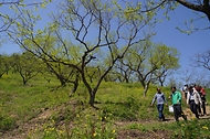 박은식 산림청장이 4월 24일 충주시 중앙탑면 밤 재배임가를 찾아 중동전쟁이 임업현장에 미치는 영향을 점검하고 임산물 판로확대 및 품질관리 방안에 대해 이야기를 나누고 있다.