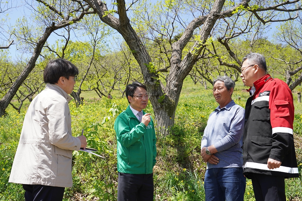 박은식 산림청장이 4월 24일 충주시 중앙탑면 밤 재배임가를 찾아 중동전쟁이 임업현장에 미치는 영향을 점검하고 임산물 판로확대 및 품질관리 방안에 대해 이야기를 나누고 있다.