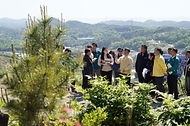 박은식 산림청장이 2026년 5월 8일 충남 홍성군 서부면 대형산불피해지 조림 복원 현장을 점검하고 있다.