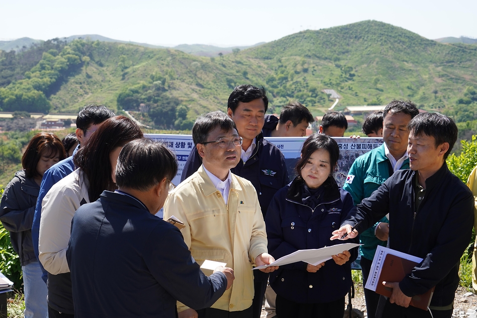 박은식 산림청장이 2026년 5월 8일 충남 홍성군 서부면 대형산불피해지 조림 복원 현장을 점검하고 있다.