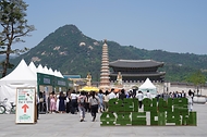 5월 13일 서울 종로구 광화문광장에서 '우리 임산물 숲푸드 대축제'가 열리고 있다.