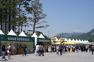 5월 13일 서울 종로구 광화문광장에서 '우리 임산물 숲푸드 대축제'가 열리고 있다.