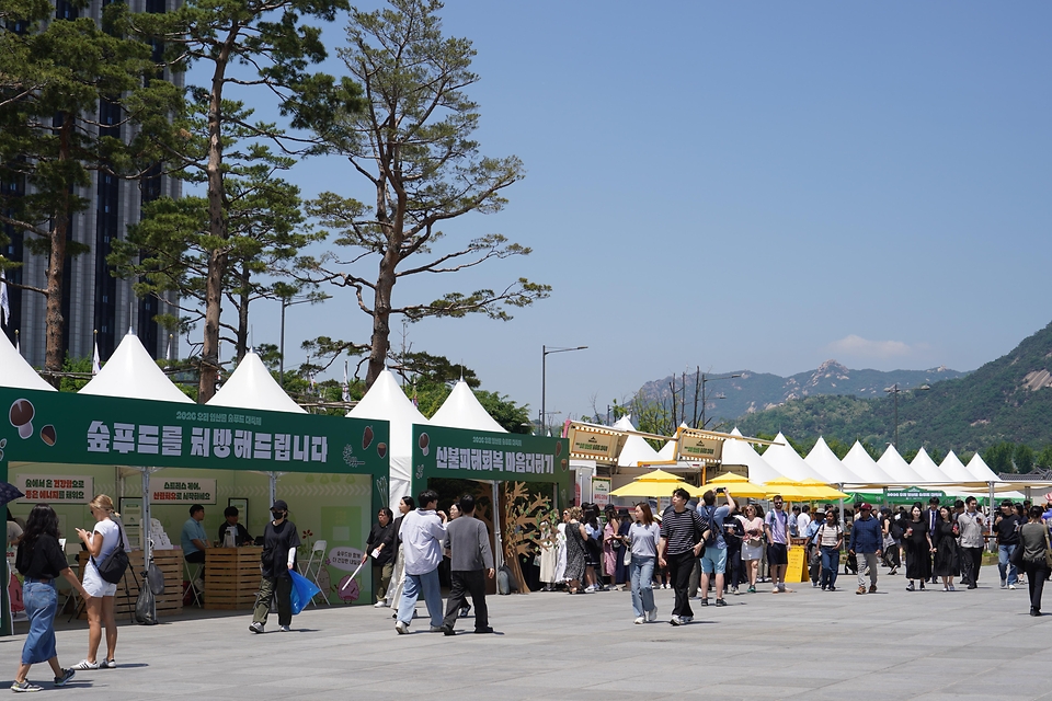 5월 13일 서울 종로구 광화문광장에서 '우리 임산물 숲푸드 대축제'가 열리고 있다.