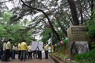 박은식 산림청장이 5월 21일 경남 양산시 통도사 일원에서 소나무재선충병 피해 예방을 위한 점검을 하고 있다.