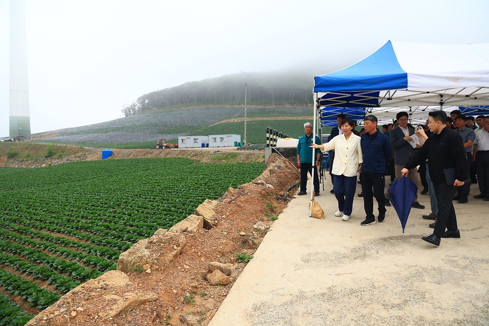송미령 농림축산식품부 장관이 7월 2일 태백시 매봉산에 위치한 고랭지채소 재배단지를 찾아 여름배추 생육상황을 점검하고 있다.