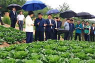 송미령 농림축산식품부 장관이 7월 2일 태백시 매봉산에 위치한 고랭지채소 재배단지를 찾아 여름배추 생육상황을 점검하고 있다.