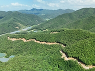 박은식 산림청장이 7월 24일 충북 영동군 추풍령면 신안리 일원에 조성된 임도시설을 찾아 산사태 예방을 위한 시설물 안전관리를 점검하고 있다.