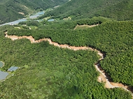 박은식 산림청장이 7월 24일 충북 영동군 추풍령면 신안리 일원에 조성된 임도시설을 찾아 산사태 예방을 위한 시설물 안전관리를 점검하고 있다.