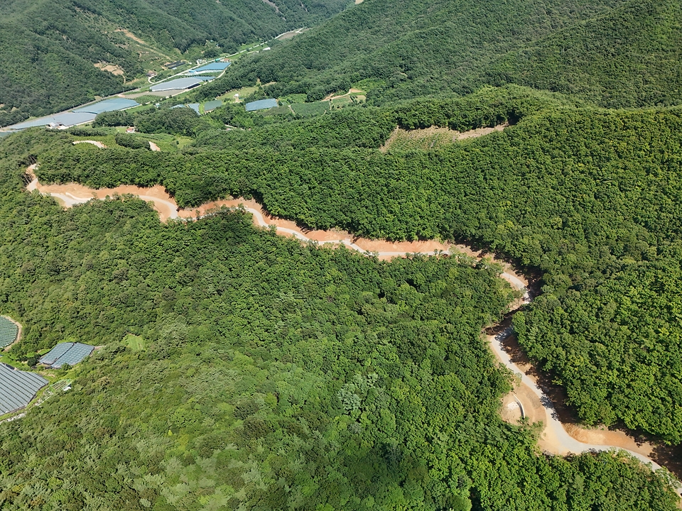박은식 산림청장이 7월 24일 충북 영동군 추풍령면 신안리 일원에 조성된 임도시설을 찾아 산사태 예방을 위한 시설물 안전관리를 점검하고 있다.