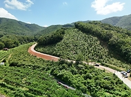 박은식 산림청장이 7월 24일 충북 영동군 추풍령면 신안리 일원에 조성된 임도시설을 찾아 산사태 예방을 위한 시설물 안전관리를 점검하고 있다.