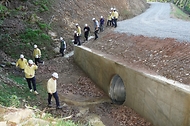 박은식 산림청장이 7월 24일 충북 영동군 추풍령면 신안리 일원에 조성된 임도시설을 찾아 산사태 예방을 위한 시설물 안전관리를 점검하고 있다.