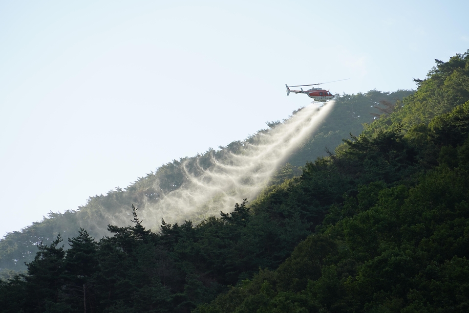 박은식 산림청장이 8월 13일 포항시 북구 기북면 소나무재선충병 방제사업장을 찾아 유인 항공방제 실증사업 진행현황을 점검하고 효율적인 방제 전략 추진을 논의하고 있다.