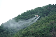 박은식 산림청장이 8월 13일 포항시 북구 기북면 소나무재선충병 방제사업장을 찾아 유인 항공방제 실증사업 진행현황을 점검하고 효율적인 방제 전략 추진을 논의하고 있다.