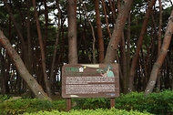 박은식 산림청장이 8월 13일 포항시 북구 기북면 소나무재선충병 방제사업장을 찾아 유인 항공방제 실증사업 진행현황을 점검하고 효율적인 방제 전략 추진을 논의하고 있다.