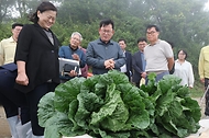 이승돈 농촌진흥청장이 8월 11일 강원특별자치도 강릉시 왕산면의 고랭지 여름 배추 재배지를 찾아 '씨스트선충(배추 뿌리 병해충)'의 정부 합동 방제 추진 현황과 배추의 자람 상태(생육 상황)를 점검하고 있다.
