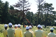 박은식 산림청장이 9월 10일 제주도 제주시 애월읍 유수원리 소나무재선충병 방제 현장을 찾아 방제 추진상황을 점검하고 있다.