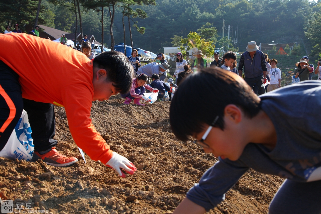 농촌전통테마마을 중 하나인 충남 태안의 매화둠벙 마을에서는 밭에서 시민들이 직접 무, 감자, 양파, 고구마 등 숨겨진 농산물을 캐보고 농산물을 집으로 가져가는 농산물 보물찾기 프로그램을 진행한다.