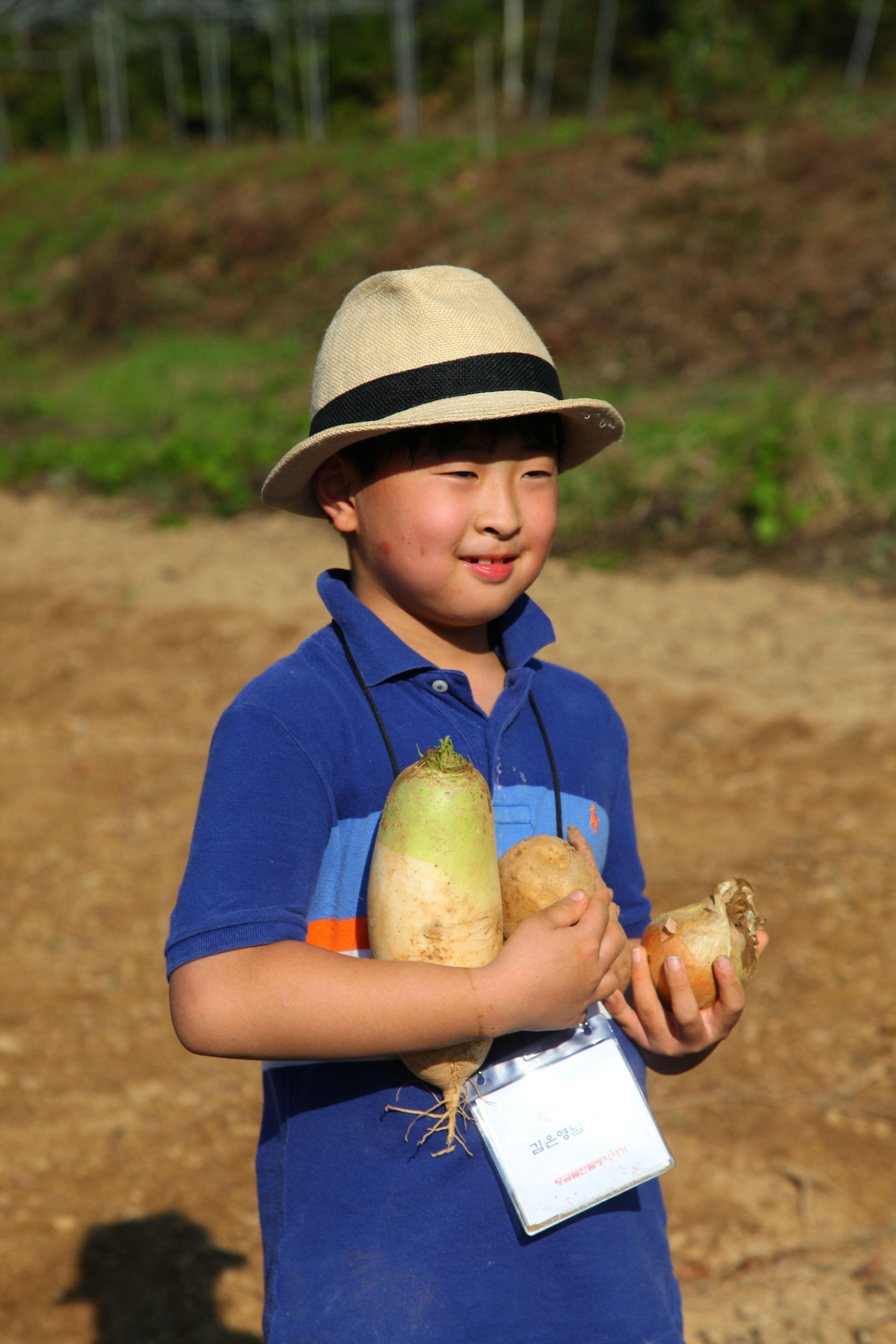 농촌전통테마마을 중 하나인 충남 태안의 매화둠벙 마을에서는 밭에서 시민들이 직접 무, 감자, 양파, 고구마 등 숨겨진 농산물을 캐보고 농산물을 집으로 가져가는 농산물 보물찾기 프로그램을 진행한다.