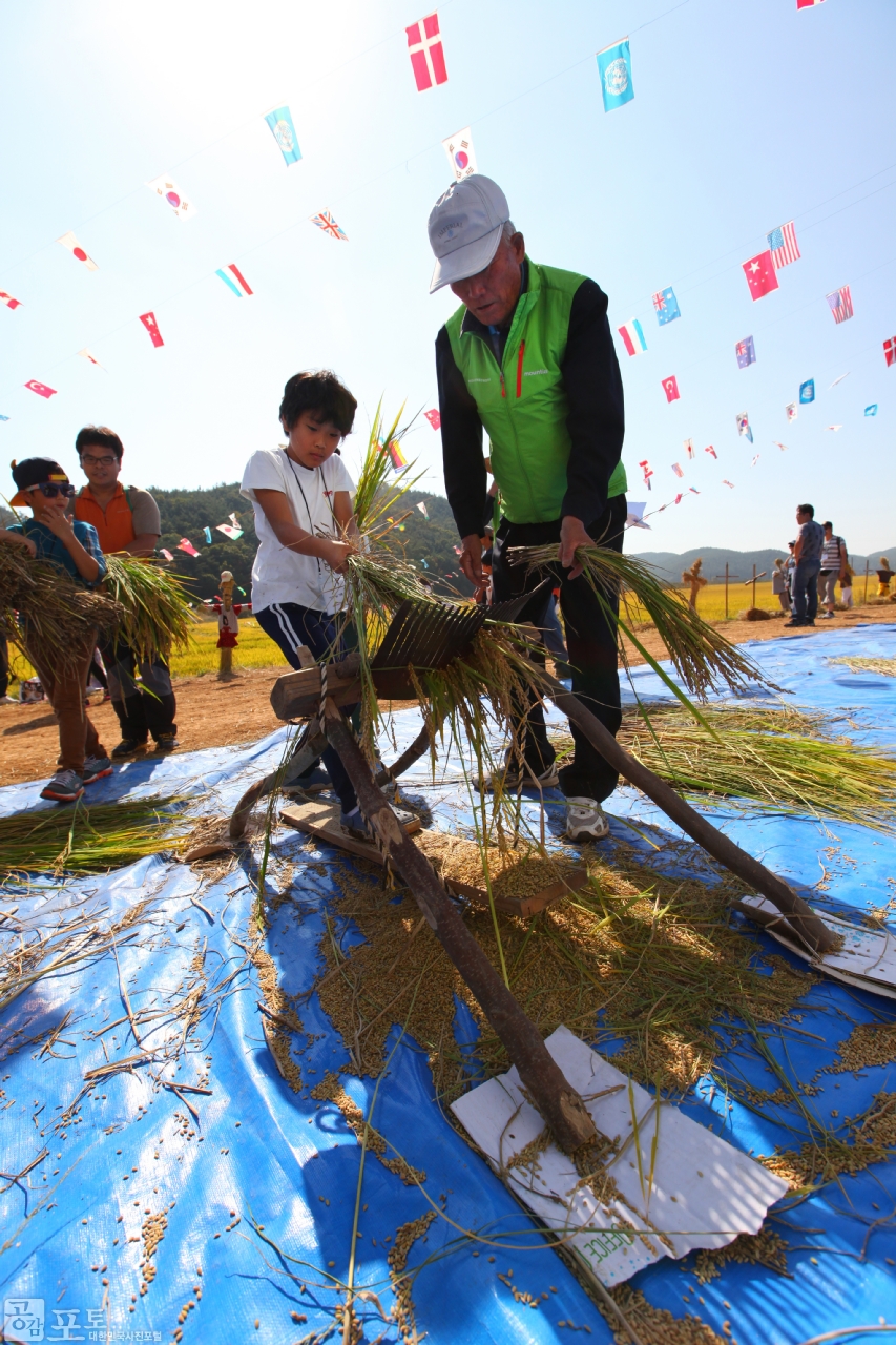 농촌전통테마마을 중 하나인 충남 태안의 매화둠벙 마을에서는 가을을 맞아 낫으로 벼를 베고 전통 탈곡기를 이용해 탈곡을 해보는 전통 추수 체험 프로그램을 진행한다. 매화둠벙 마을을 찾은 시민들이 이 프로그램을 통해 농촌의 볍씨가 식탁 위의 쌀이 되는 과정을 직접 체험해 볼 수 있다.