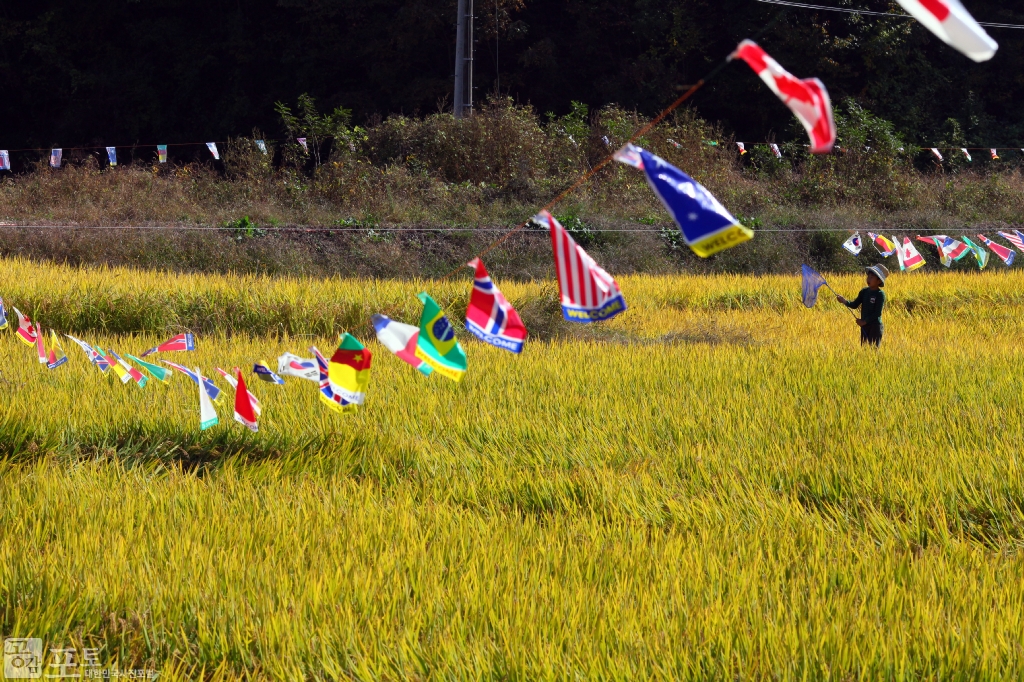 농촌진흥청과 자치구 농업기술센터에서는 농촌 마을 고유의 전통문화 지식을 발굴하여 보존하고 도시민을 위한 체험학습의 장을 마련하기 위한 농촌전통테마마을을 운영하고 있다. 
각 농촌전통테마마을에서는 볼거리, 먹거리, 쉴거리, 체험거리, 놀거리, 살거리, 알거리 등 7가지 테마로 자원을 발굴하여 농촌의 매력을 알리며 농촌문화의 맥을 이어가고 있다.
농촌전통테마마을 중 하나인 충남 태안의 매화둠벙 마을에서는 가을을 맞아 전통 추수 체험과 허수아비 만들기, 쌀찐빵 만들기 등 갓 수확한 농산물을 활용한 체험활동을 할 수 있다.