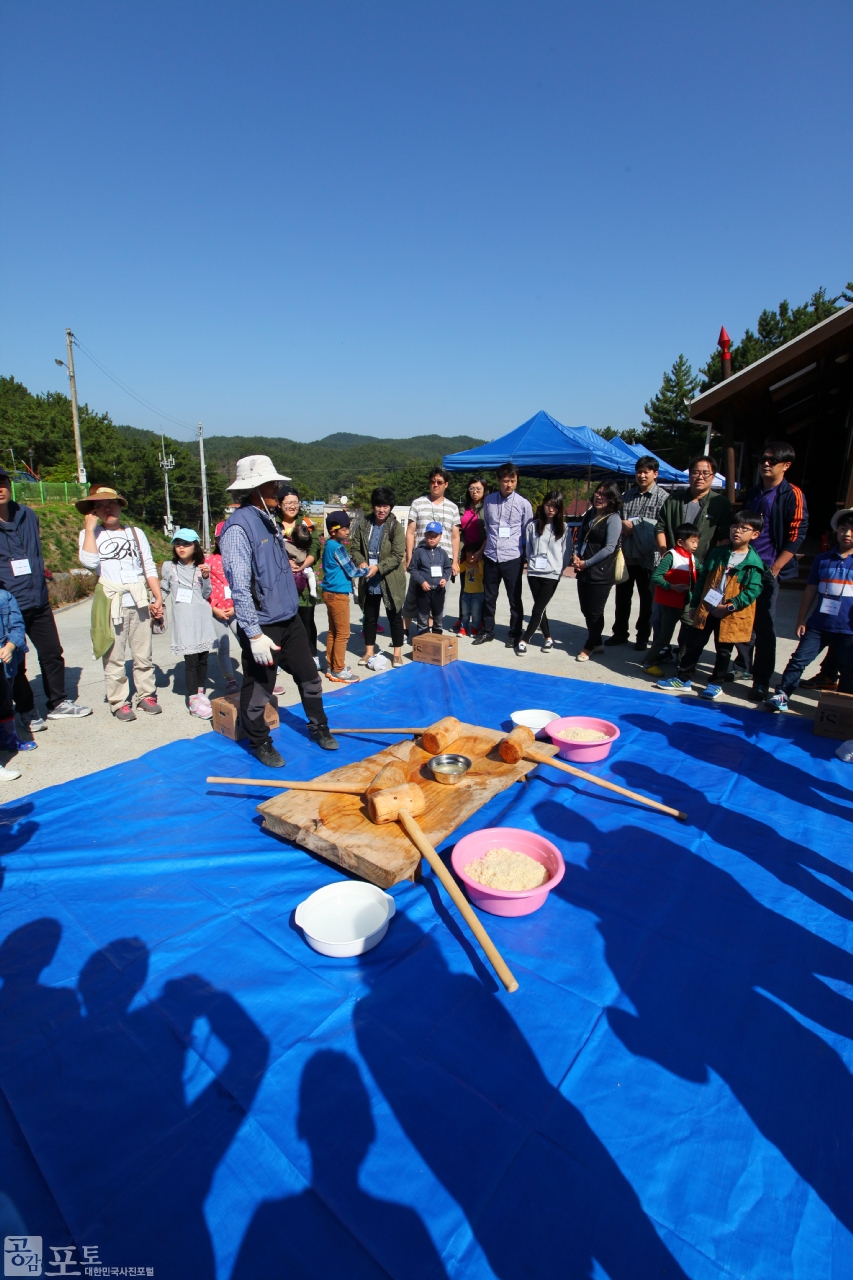 농촌전통테마마을 중 하나인 충남 태안의 매화둠벙 마을에서는 가을을 맞아 갓 수확한 쌀로 인절미를 만들어보는 체험을 할 수 있다.