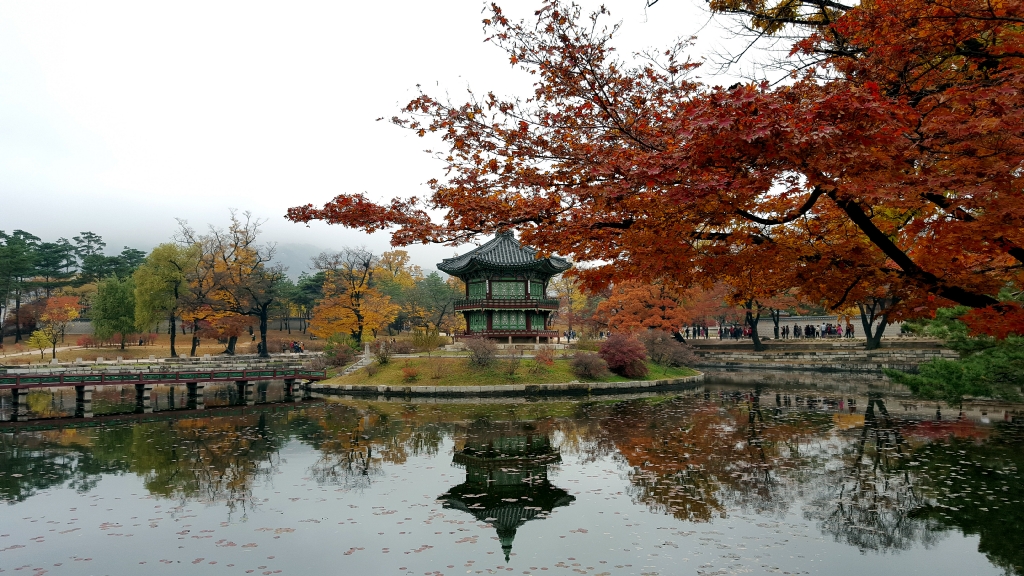 경복궁의 단풍