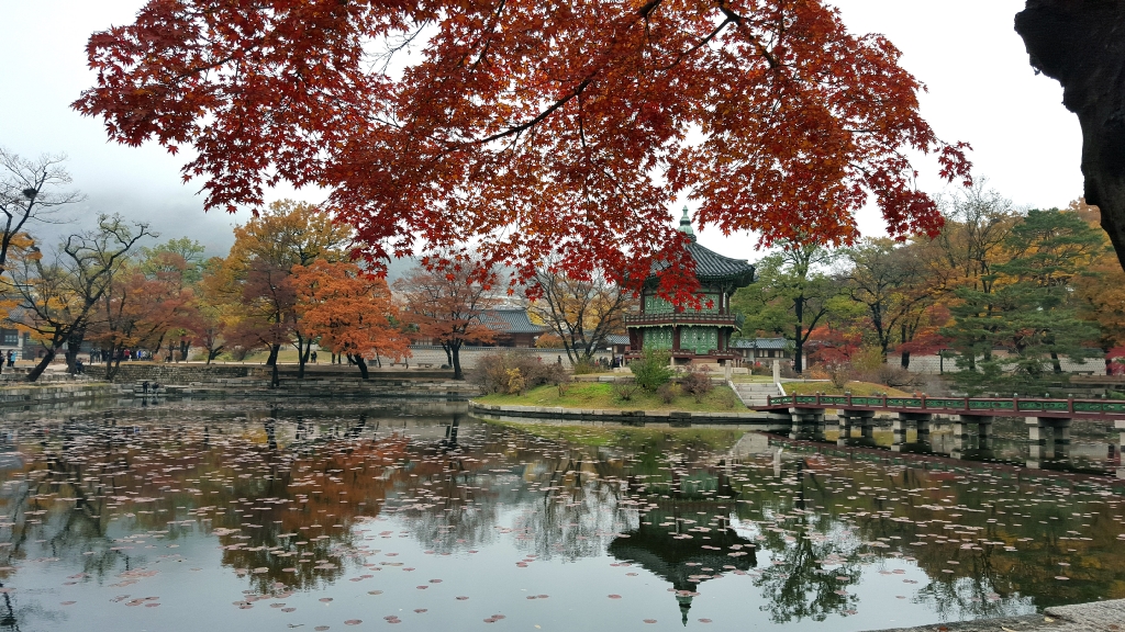 경복궁의 단풍