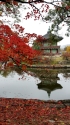 경복궁의 단풍 사진 12