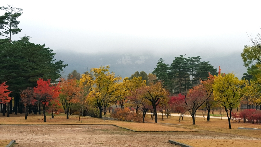 경복궁의 단풍