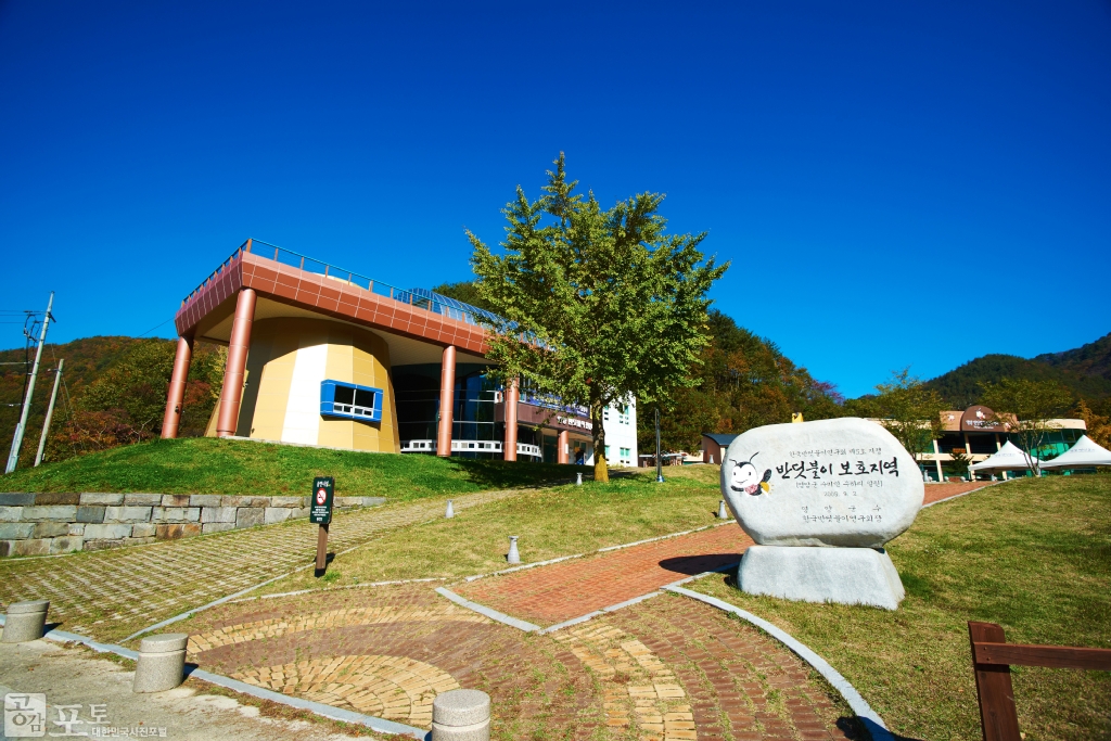 반딧불이 보호지역인 영양국제밤하늘보호공원은 여름철 밤하늘의 별과 함께 자연에 서식하고 있는 반딧불이를 동시에 관찰할 수 있는 국내 유일의 천체관측장소이다.