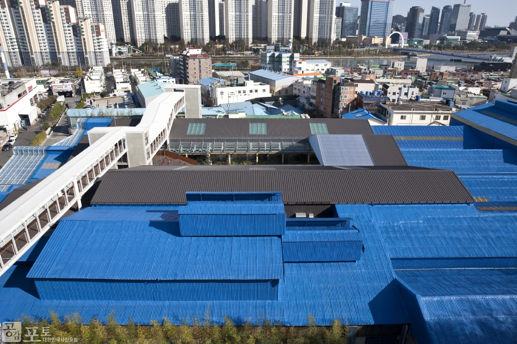 고려제강 수영공장은 1963년에 지어져 2008년까지 와이어로프를 생산하던 곳이었으나 부산비엔날레 특별전시장 활용을 계기로 전시, 공연, 교육, 상업 기능이 융합된 복합문화공간 ‘F1963(Factory 1963)’으로 재탄생하였다.
