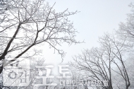 겨울산행, 소백산 설산을 경험하다. 사진 7