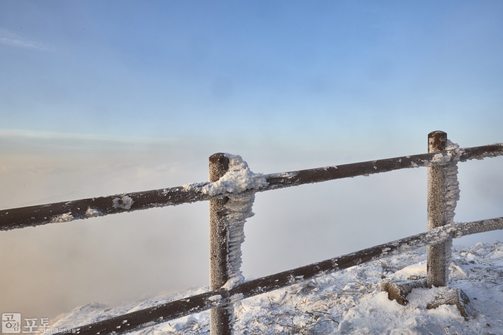 충북 단양과 경북 풍기 사이에 위치한 소백산 비로봉은 겨울 설산 트레킹의 성지로 꼽히고 있다. 겨울바람으로 함께 얼어버린 울타리. 