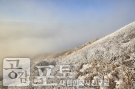 겨울산행, 소백산 설산을 경험하다. 사진 16
